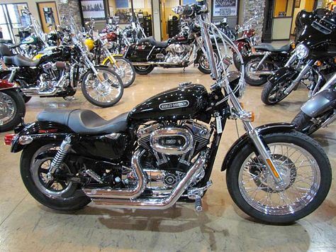 2007 Harley-Davidson® XL1200L Sportster® 1200 Low 2007 Harley Davidson Sportster 1200, Harley Nightster, Harley Davidson Nightster, 883 Sportster, Harley Sportster 1200, Harley Davidson Photos, Harley Davidson History, Harley Davidson Roadster, Softail Bobber