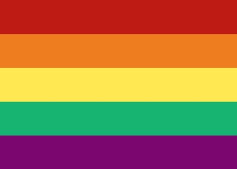 Sunset Flag, Gross People, Lgbtq Flags, Blue’s Clues, Lgbt Flag, Lesbian Flag, Pride Flags, The Sunset, The Rainbow