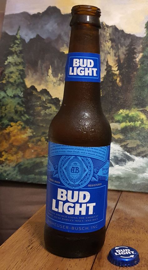 Bud Light a refreshing American-style light lager beer with a clean, crisp taste and fast finish. Beer Wallpaper, Bud Light Beer, Lite Beer, Cute Friendship Bracelets, Lager Beer, Bottle Lights, Bud Light, Light Beer, American Dream