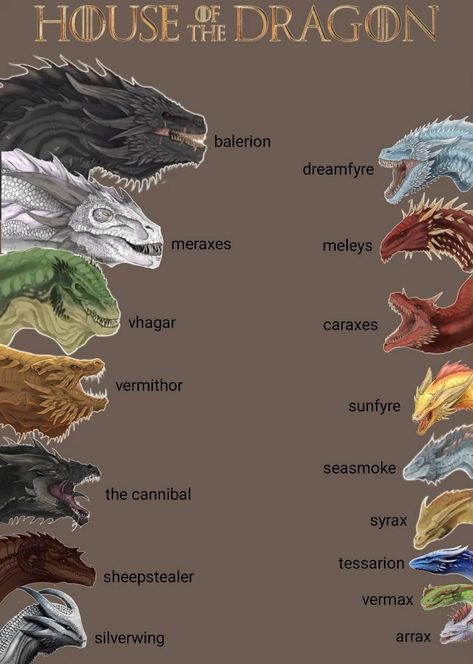 Hotd Dragons, Dragon Anatomy, Witcher Wallpaper, Game Of Thrones Artwork, Dragon Names, Dragon House, Game Of Thrones Dragons, Got Dragons, Dragon Artwork Fantasy