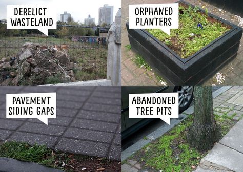 Guerilla Gardening Ideas, Green Anarchy, Eco Punk, Guerilla Gardening, Guerilla Art, Environmental Projects, Solar Punk, Guerrilla Gardening, Natural Farming