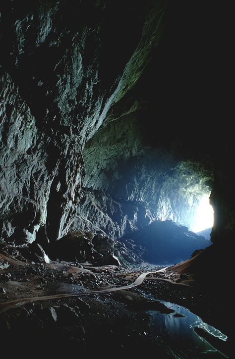 Nature, Great Blue Hole Belize, Reed Flute Cave, The Great Blue Hole, Blue Hole Belize, Great Blue Hole, Mysterious Things, Limestone Caves, Dark Cave