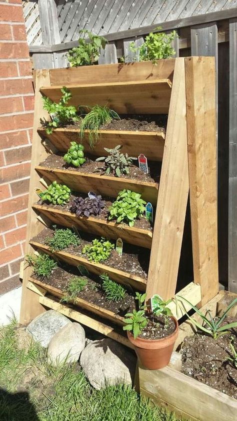 Herb Garden Setup, Vegetable Garden Boxes, Herb Garden Boxes, Raised Herb Garden, Plantarea Legumelor, Vertical Vegetable Gardens, Herb Garden Planter, Small Herb Gardens, Outdoor Herb Garden