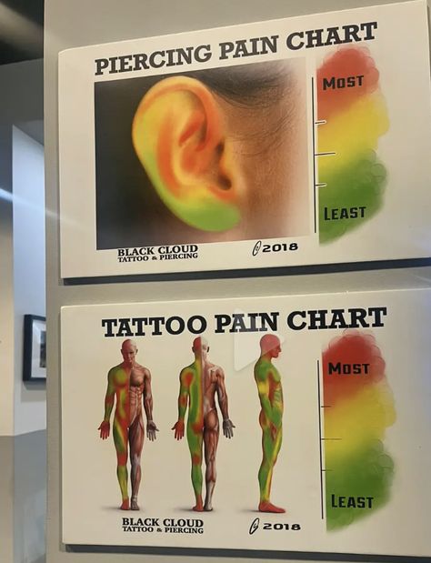 Pain Chart For Piercings, Earring Pain Chart, Ear Piercing Pain Chart, Piercing Pain Chart, Tattoo Painful Chart, Piercings Cute, Earrings Drawing, Piercings Chart, Pain Chart