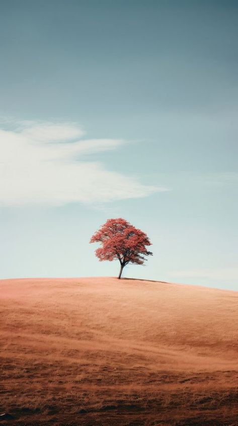 A lone tree sitting on top of a hill landscape outdoors horizon. AI generated Image by rawpixel. | free image by rawpixel.com / Boom Horizon Aesthetic, Lone Tree Photography, City Lights Wallpaper, Hill Aesthetic, Hill Landscape, Oil Painting Trees, Lights Wallpaper, Inktober 2023, Inktober 2024