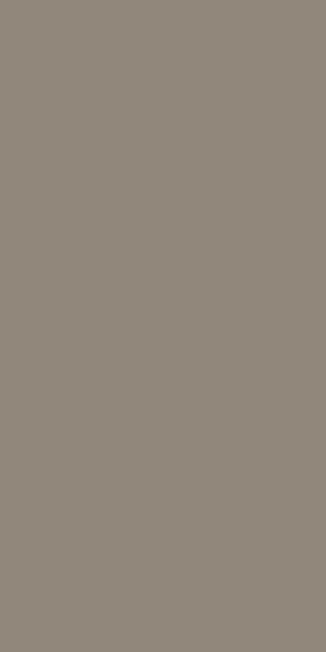 POLAR BROWN (AR-1009) | Advance Laminate Laminate Texture Seamless, Brown Grey Paint, Laminate Texture, Solid Wallpaper, Brown Laminate, Grey Laminate, Laminate Colours, Light Brown Color, Greyish Brown