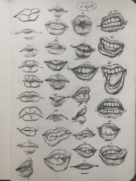 Mouth Drawing Practice, Sketchbook Ideas Anatomy, Lips Anatomy Drawing, Lip Shapes Drawing, Lips Art Reference, Drawing Of Mouth, Sketches Of Lips, Things To Practice Drawing, Face Shape Reference