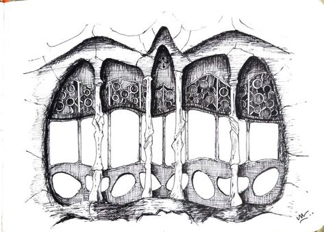 Gaudi Art, Biomimicry Architecture, Ks3 Art, Casa Mila, Gaudi Architecture, Barcelona Architecture, Architecture Drawing Sketchbooks, Antonio Gaudí, Sacred Architecture