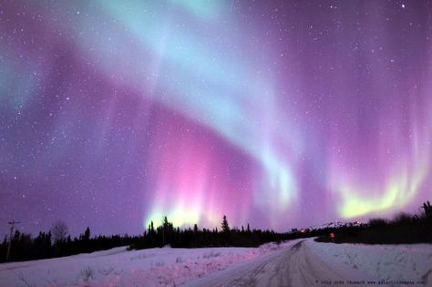 Aurora Borealis 03-21-2014 Canon 5D, Mark II, ISO 800 to 3200, 24mm F1.4 Lens, 5 sec to 15 second exposures. Northern Lights Wallpaper, Alaska Northern Lights, All The Bright Places, Scenic Pictures, Aurora Borealis Northern Lights, Lit Wallpaper, Purple Sky, The Aurora, Landscape Illustration