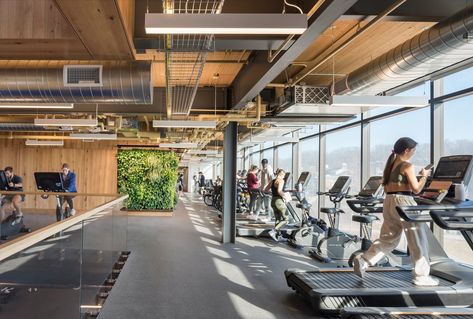 Quinnipiac Wellness Center — designLAB architects Wellness Center Design Interiors, Fitness Center Interior Design, Wellness Center Design, Amenity Space, Fitness Center Design, College Workout, Quinnipiac University, Gym Center, Adaptive Sports