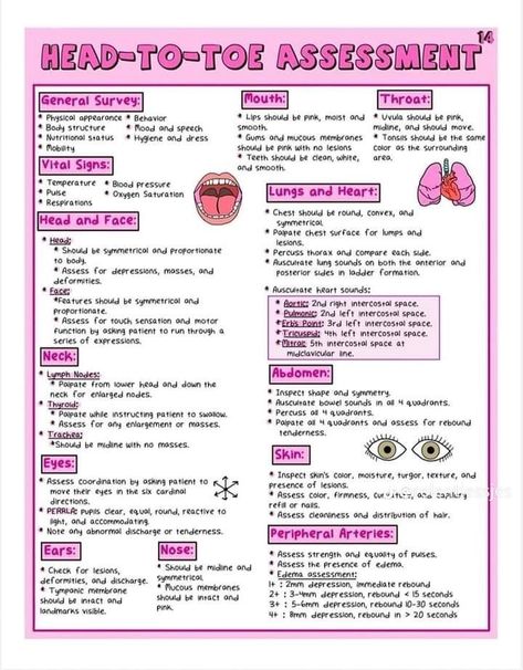 Basic Nursing Knowledge, Nursing School Fundamentals, Upper Gi Disorders Nursing Students, Med Tech Notes, Basic Medical Knowledge, Health Assessment Nursing Notes, Types Of Nurses Specialties, Nursing Study Guide Template, Nurse Notes Aesthetic