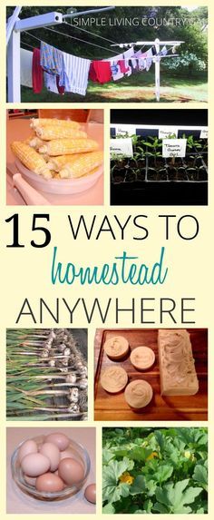 Urban Homesteading, High Rise Apartment, Homesteading Diy, Homestead Farm, High Rise Apartments, Homesteading Skills, Use Less, Homestead Living, Living Off The Land