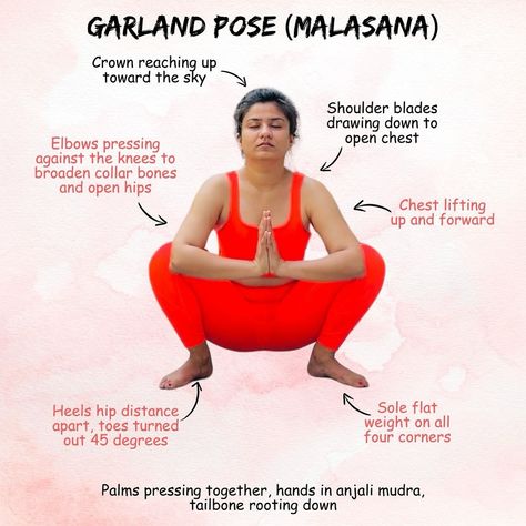 Welcome to day 13 of our ‘How to Yoga’ series! 🌟 Today, we’re diving into Malasana, also known as Garland Pose. This deep squat is excellent for opening the hips, stretching the lower back, and improving digestion. Malasana is a powerful pose that offers both physical and energetic benefits. It’s perfect for grounding and centering your practice. Join us on Pinterest for more posts like this!Link in bio ⬆️ . . #malasaña #malasana #garlandpose #yogateacher Halasana Benefits, Salabhasana Pose, Padahastasana Pose, Badha Konasana, Malasana Pose, Halasana Pose Benefits, Powerful Pose, Garland Pose, Improving Digestion