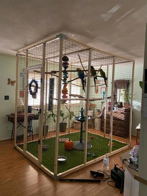 Indoor Bird Aviary, Parrot Enclosure, Diy Aviary, Parrot Room, Macaw Cage, Homemade Bird Toys, Bird Room, Budgie Cage, Sugar Glider Toys