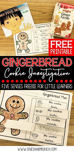 Investigate gingerbread cookies using this FREE gingerbread man five senses activity... perfect for Christmas in the classroom!  Also great for practicing adjectives! Five Senses Activity, Christmas In The Classroom, One Sharp Bunch, Senses Activity, Beginning Writing Activities, Gingerbread Unit, Gingerbread Man Activities, December Kindergarten, My Five Senses