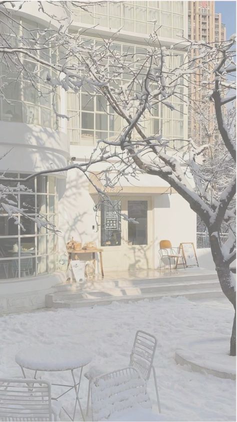 Korean Winter Wallpaper, Winter Theme Wallpaper Aesthetic, Korean White Wallpaper, Ivory Aesthetic Wallpaper, White Snow Aesthetic Wallpaper, Snowy Tree Wallpaper, White Snow Wallpaper, White Christmas Aesthetic Wallpaper, Simple Winter Background