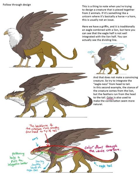 Griffin Reference Drawing, Human Griffin Hybrid, Griffin Pose Reference, How To Draw Griffin, Griffin Creature Design, Mythical Creatures Griffin, Creature Design Tips, Fantasy Creature Anatomy, Fantasy Griffin Art