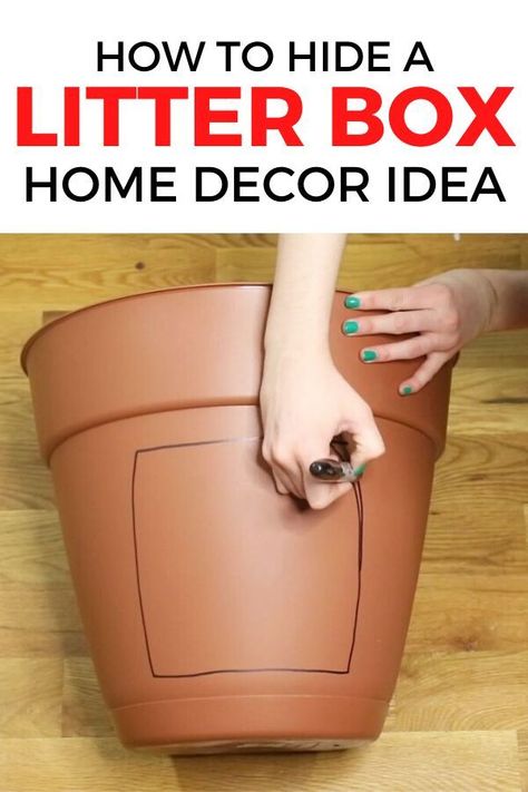 Hidden Litter Boxes Diy, Cat Litter Box Diy, Cat Litter Box Ideas, Hidden Cat Litter, Litter Box Ideas, Hiding Cat Litter Box, Diy Litter Box, Hidden Litter Boxes, Diy Stool