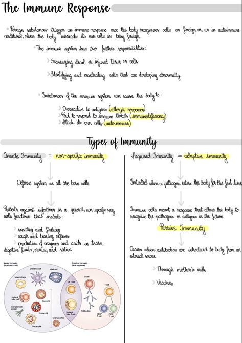 Immune Response Notes, Herbalist Lifestyle, Gcse Revision, Revision Guides, Immune Response, The Cell, Biology, No Response, Lifestyle