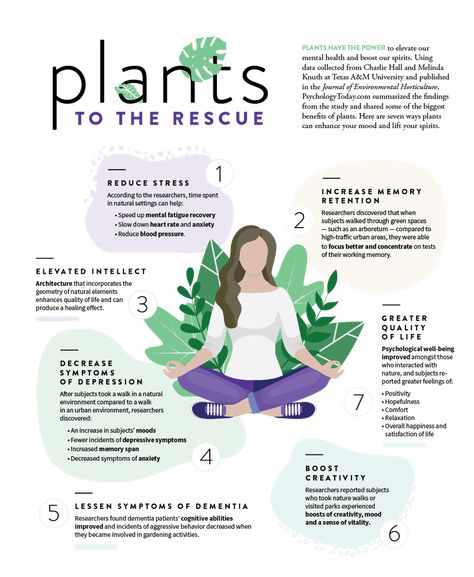 Plants to the rescue Permaculture, Horticultural Therapy Activities, Homestead Knowledge, Accessible Gardening, Eco Therapy, Therapy Garden, Horticultural Therapy, Horticulture Therapy, Behavior Contract