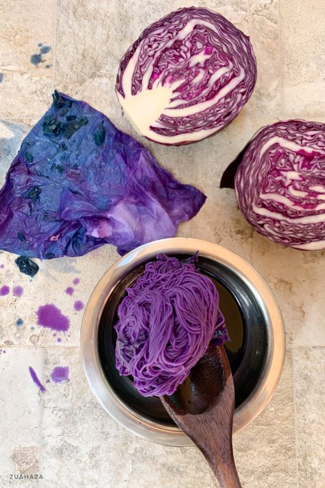 How To Plant Dye Fabric, Foraging For Natural Dyes, Onion Dye Fabric, Making Natural Dyes, Natural Dye Recipes, Plant Dyes How To Make, How To Make Natural Dyes, Natural Dye Plants, Natural Dye Projects