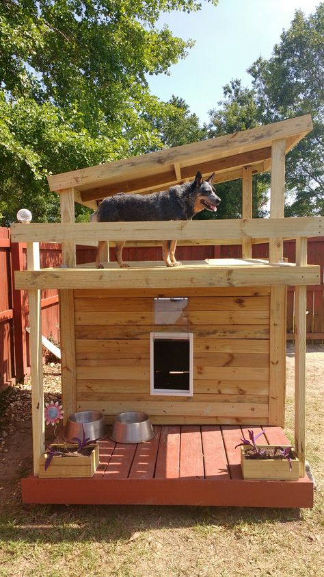 Two Story Dog House Diy, Doberman Dog House, Dog House Playhouse, Dog House Large Dogs, Big Dog House Diy, Dog House For 3 Large Dogs, Dog House Made Of Pallets, Big Outdoor Dog House, Palette Dog House