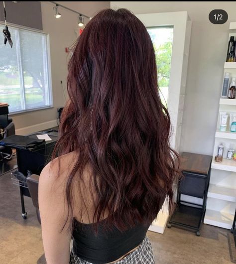 Brunette To Burgundy Hair, Couples Matching Pfps Anime, Dark Red Hair On Brunettes, Dark Hair With Burgundy Tint, Brunettes With Red Hair, Hair Color Ideas Red And Brown, Dark Red Hair For Brunettes, Cool Toned Plum Hair, Black Hair With Tint Of Color