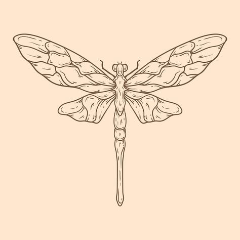 | Free Vector #Freepik #freevector #simple-illustration #line-art #minimal-illustration #hand-drawn-illustration Dragonfly Outline, Dragonfly Illustration, Dragonfly Artwork, Dragonfly Images, Dragonfly Drawing, Engraving Tattoo, Dragonfly Tattoo Design, Beautiful Dragonfly, Wings Drawing