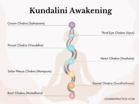 In this article, we’ll learn about the Kundalini energy, the benefits of the Kundalini activation process for your chakras, and effective ways to awaken this innate life force so you can start unlocking your chakras in the most harmonious way possible. #selflovetips #selflove #selfcare #selfhealingjourney #selfheal #healingwork #healingenergy #chakraworkshop #chakracrystals #sevenchakras #chakrabalancing #chakrahealing #chakra #chakrabalance #chakraalignment #meditation #chakrahealing #chakra What Is Kundalini, Kundalini Reiki, Muladhara Chakra, Kundalini Meditation, Anahata Chakra, Chakra Activation, Kundalini Awakening, Energetic Body, Yoga Mantras