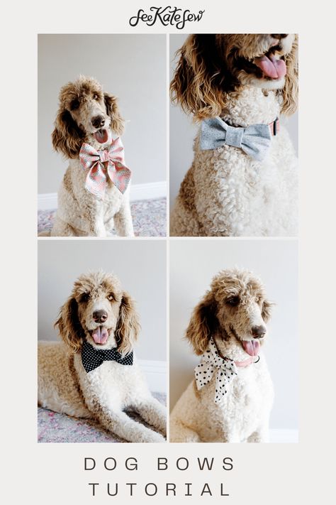 Sewing Patterns Dog Bandana, Dog Bow Tie Sewing Pattern, Sew Dog Bow Tie, Dog Bow Sewing Pattern, Sewing Pattern Dog Bandana, Patterns For Dog Clothes Free, Dog Bandana Template Free Pattern, Dog Bow Pattern Free, How To Make A Dog Bow Tie