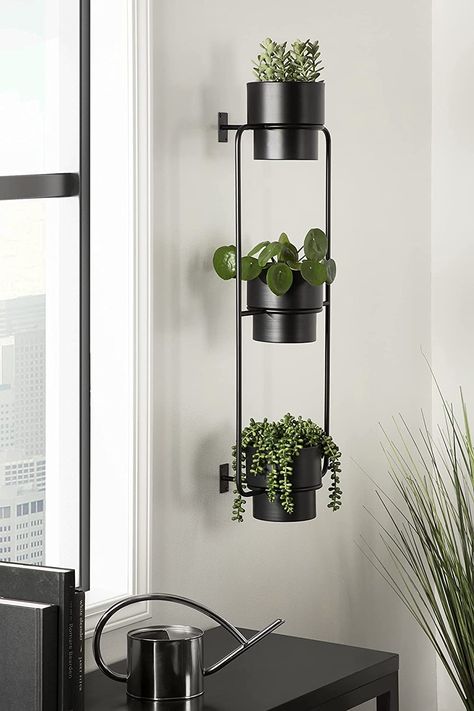 Amazon.com: Kate and Laurel Ascher Wall Mounted Planter, 13x9x36, Black : Patio, Lawn & Garden Galvanized Wall Planter, Indoor Plant Wall, Wall Mounted Planters, Metal Hanging Planters, Hanging Planters Indoor, Hanging Plant Wall, Vertical Planter, Plant Display, Garden Design Plans