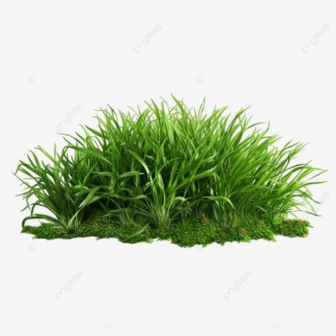 bunch of nature green grass bunch of nature green grass nature green grass green grass png Nature, Green Grass Png, Grass Png, Drukarka 3d, Nature Green, Transparent Image, Professional Design, Grass Green, Editing Background