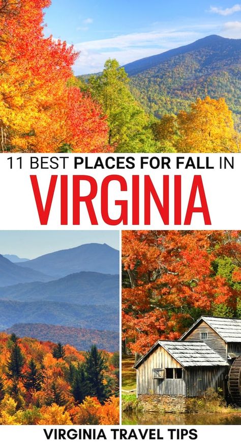 Things To Do In Virginia, Virginia Fall, Fall Road Trip, Virginia Travel, Us Road Trip, Shenandoah National Park, Usa Travel Guide, Ready For Fall, Usa Travel Destinations