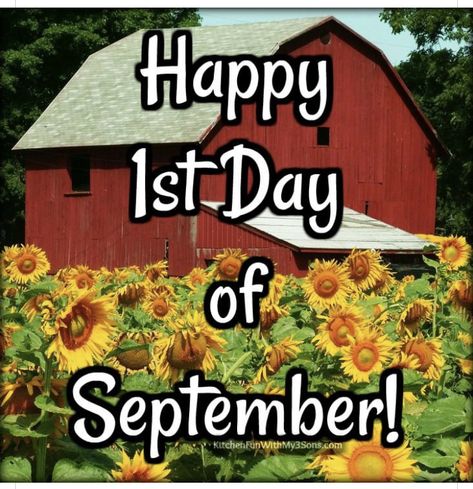 Happy September 1st, September First, Seasons Name, September Quotes, Groovy Chick, Autumn Greetings, Sarcastic Memes, Welcome September, Music Space