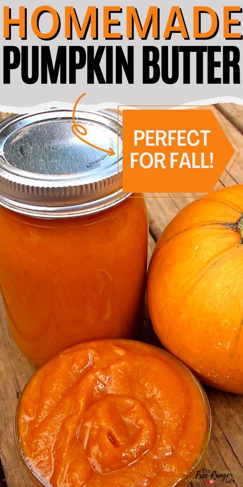 Do you love pumpkins and pumpkin spice? Try making your own spiced pumpkin butter. It's similar to apple butter but made with pureed pumpkin or squash. Great for a fall breakfast or snack! Can be frozen for longer storage. Apple Peel Recipe, Freezing Pumpkin, Homemade Pumpkin Butter, Pumpkin Spread, Pumpkin Butter Recipe, Pureed Pumpkin, Pumpkin Crisp, Homestead Recipes, Pear Butter