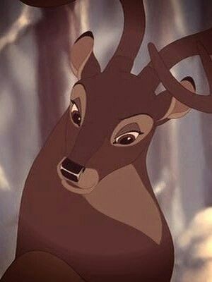 Bambi 3, Bambi Disney, Animation Stop Motion, Disney Brave, Animated Animals, Anime Fnaf, Cartoon Profile Pics, Cartoon Shows, Disney And Dreamworks