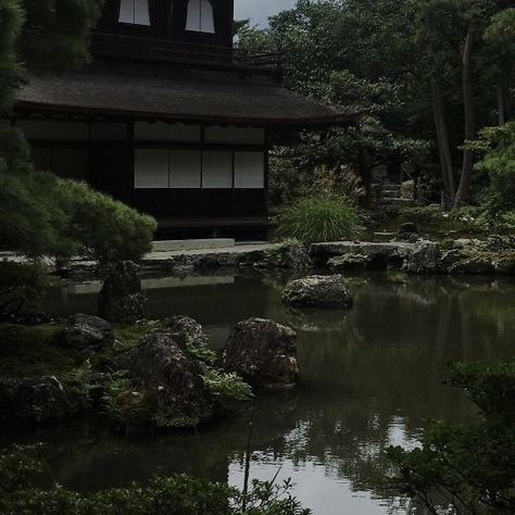 Dark Green Aesthetic, Dark Paradise, Japan Aesthetic, Aesthetic Japan, Japanese Aesthetic, Nature Aesthetic, Pretty Places, Green Aesthetic, Aesthetic Photo