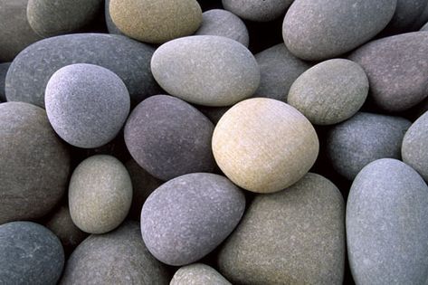 Round pebbles on beach Beach Pebbles, Pretty Rocks, River Stones, Pebble Stone, Beautiful Rocks, Sticks And Stones, Beach Stones, River Rock, Pebble Beach