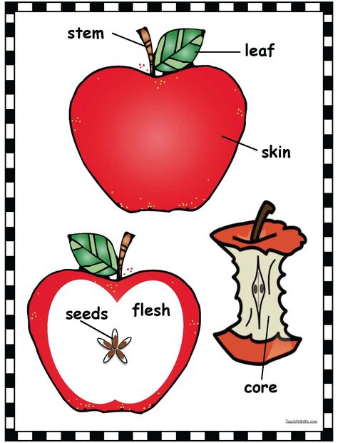 Apples Sense: Science & Writing Craftivities Kindergarten Math Patterns, Pond Preschool, Fall Preschool Worksheets, Parts Of An Apple, Preschool Apple Activities, September Writing, Apple Poster, Apple Template, Preschool Apple Theme