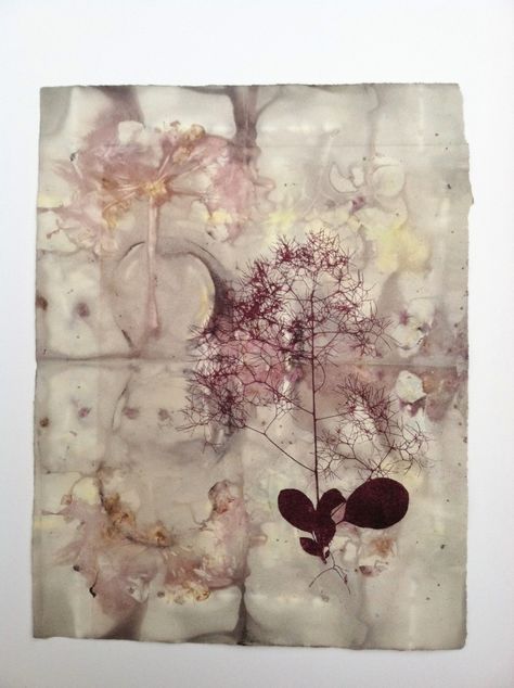 Contemporary Printmaking - "Pink Smoke Tree" (Original Art from Paula Zinsmeister) Collagraph Printmaking, Contemporary Printmaking, Botanical Collage, Botanical Theme, Art Theory, Flower Art Drawing, Phenomenal Woman, Collage Art Mixed Media, Eco Printing