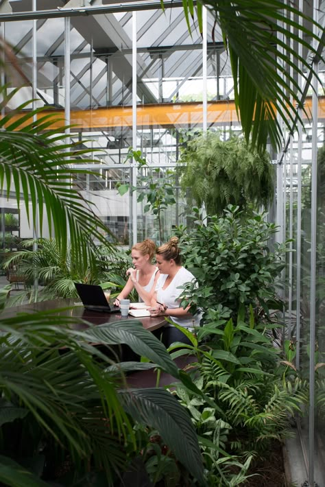 Space Encounters by Joolz headquarters Warehouse Conversion, Green Office, Areas Verdes, Factory Building, Office Plants, Eco Design, Space Architecture, Garden Office, Coworking Space