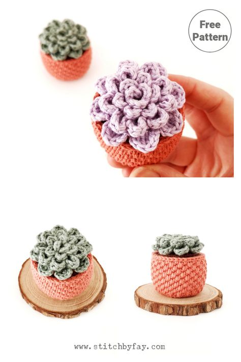 Succulent Planter Free Crochet Pattern Crochet Small Potted Plants, Easy Crochet Succulent Pattern Free, Crochet Cactus In Pot Free Pattern, Small Flower Pot Crochet Pattern, House Plant Crochet Pattern, Crochet Flower And Pot, Crochet Pot Plants Free Pattern, Succulent Turtle Crochet Pattern, Fake Plant Crochet