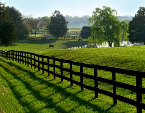 Rolling green hills, fenced pastures, ponds, and horses are a common site, from the very north to the very south of Virginia. ~~hh/ Pastures For Horses, Horse Pasture, White Colonial, Stable Ideas, Horse Fencing, Future Farms, English Horse, Pond Landscaping, Dream Property