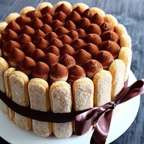 Tiramisu Cake Decoration Ideas, Tiramisu Decoration Ideas, Tiramisu Cake Design, Tiramisu Birthday Cake, Tiramisu Aesthetic, Charlotte Cake, Tiramisu Cake, Tiramisu Recipe, Fancy Desserts