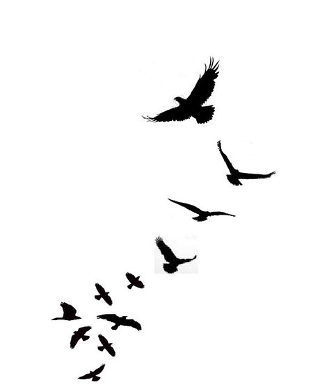 Bird Silhouette Tattoos, Bird Tattoo Men, Vogel Tattoo, Black Bird Tattoo, Flying Bird Tattoo, Tattoo Bird, Small Bird Tattoo, Free Tattoo Designs, Tattoo Trend