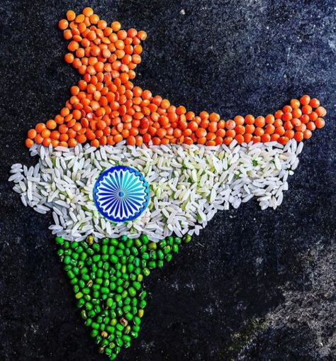 Pulses Craft For Kids, Kids Rangoli, Seed Craft, Pumpkin Diy, School Kids Crafts, Craft Work For Kids, Jai Hind, India Images, Tri Colour