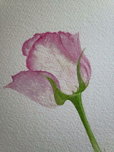 Watercolor Rose Easy, Teacher Watercolor Art, Drawing Roses, Arte Aesthetic, Rustic Rose, Roses Art, Watercolor Flowers Tutorial, Watercolor Paintings For Beginners, Watercolor Lessons