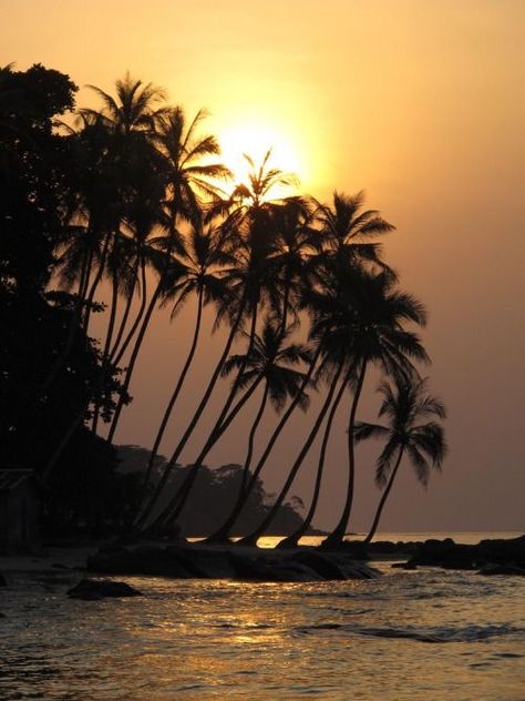 Freetown Sierra Leone, Sierra Leone Aesthetic, Beautiful Ocean Pictures, Ocean Pictures, Hotel California, Beautiful Ocean, Frank Ocean, West Africa, Travel Inspo