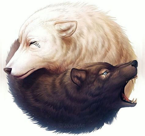 Black Wolf & White Wolf yin yang design art Black And White, White, Instagram, Black, Art