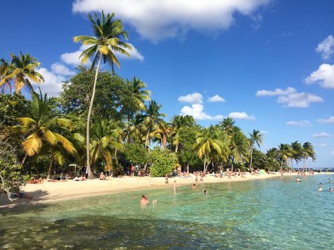 The picturesque French Caribbean island group offers more than meets the eye. Guadalupe Caribbean, Guadalupe Island, French Caribbean, Island Caribbean, More Than Meets The Eye, Caribbean Island, Caribbean Vacations, Caribbean Travel, Travel Locations